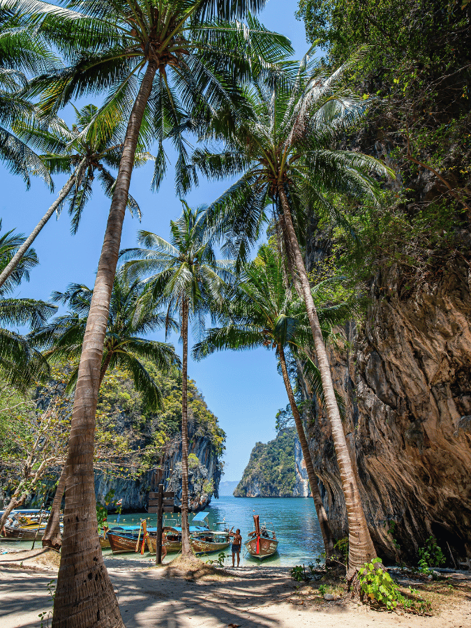 Phuket Boats, Beach and Trees
