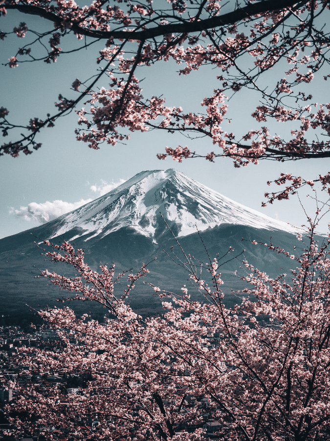 Japan - Mt Fuji
