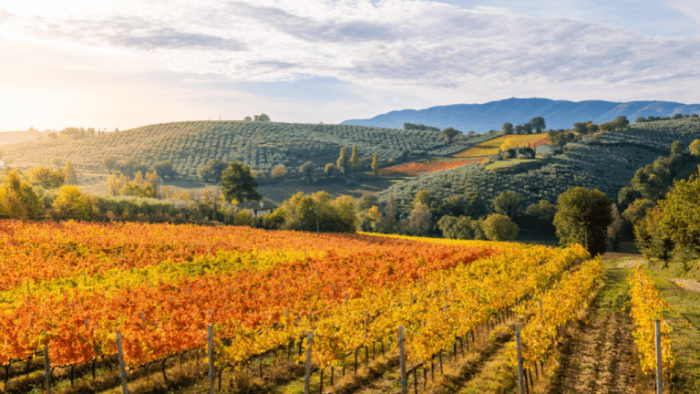reasons to visit italy in the autumn