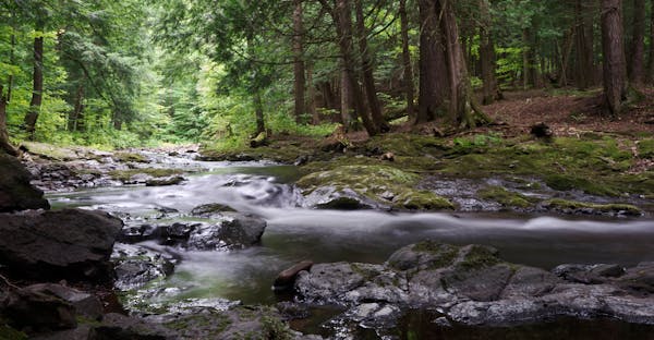 Book Us Flights And Hotels Together