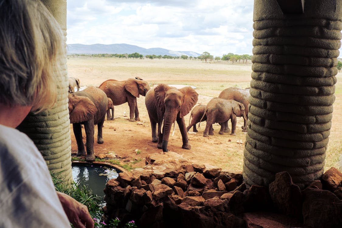 Exclusive South Africa Safari Tours