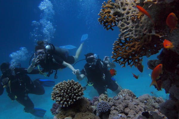Guided Tours To New Zealand From Australia