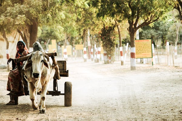 South India Tour Packages From Australia